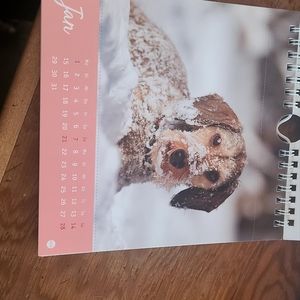 2024 German calendar with Dackels